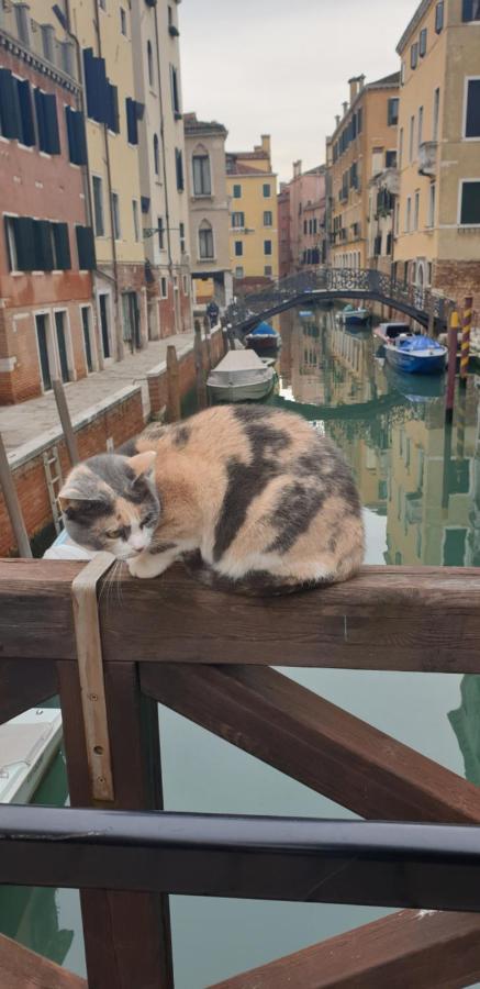 Magic Casanova Flat In The Heart Of Venice公寓 外观 照片